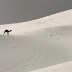 Arábia Saudita tem imagens insólitas com tempestade de granizo