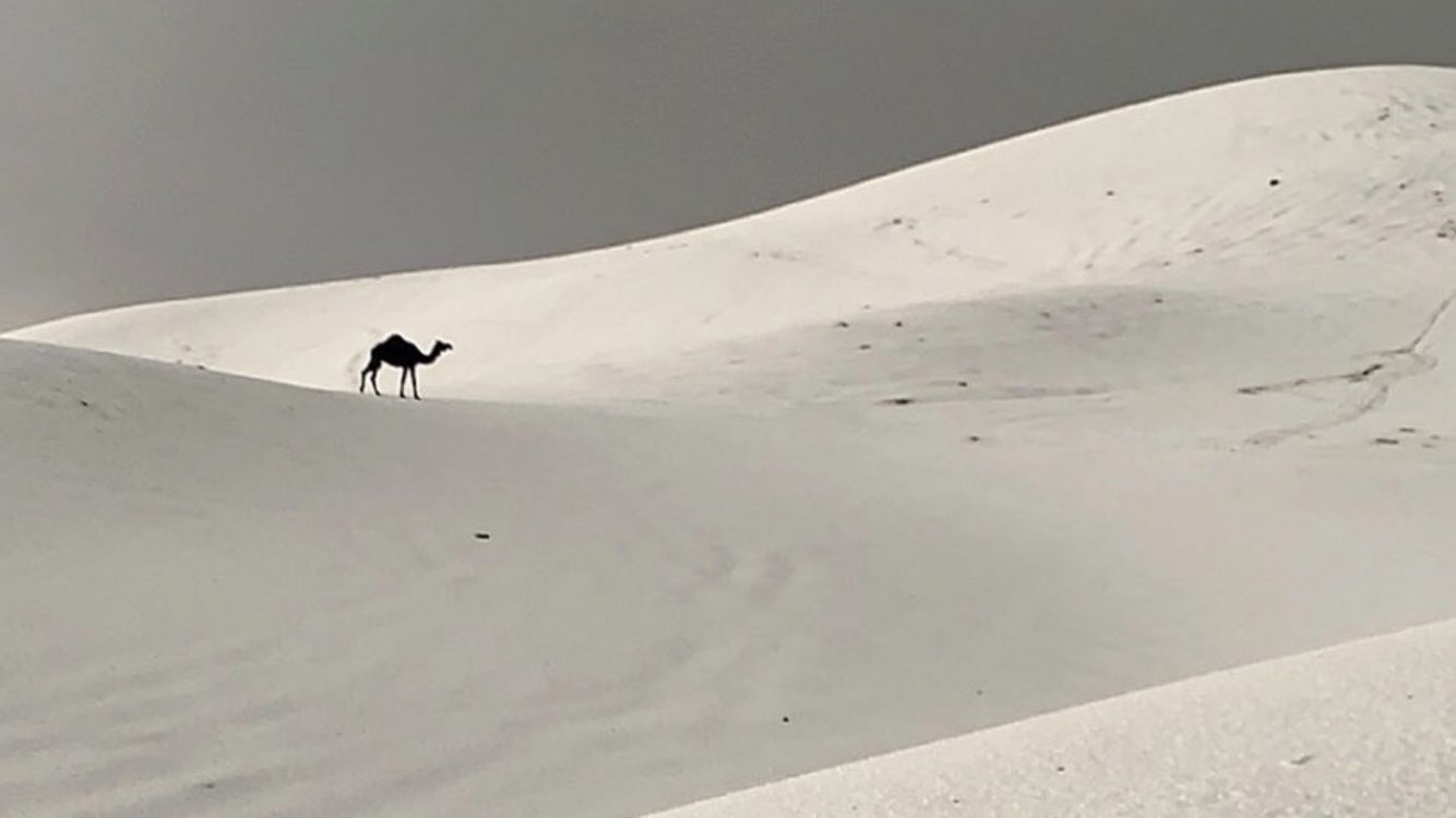 <span class="entry-title-primary">Arábia Saudita tem imagens insólitas com tempestade de granizo</span> <h2 class="entry-subtitle">Tempestades de granizo no fim de semana deixaram brancas áreas do deserto saudita </h2>