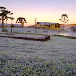 Frio de 3,3°C abaixo de zero no Rio Grande do Sul