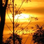 Veja a previsão do tempo para este sábado (10/4)