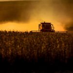 Clima contribui para safra histórica de soja no Brasil