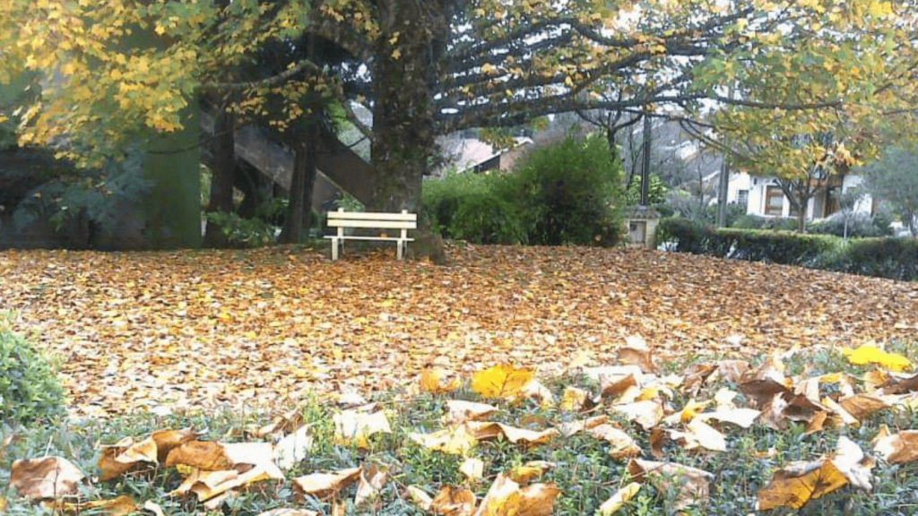 Clima de inverno se instala no Rio Grande do Sul