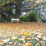 Clima de inverno se instala no Rio Grande do Sul
