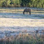 Frio e geada no fim de semana do Dia das Mães