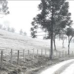 Frio abaixo de zero no Sul do Brasil