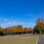 Veja a previsão do tempo para esta terça-feira (18/5)