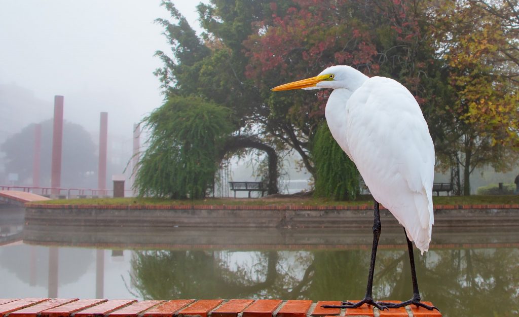 Previsão do tempo – Chuva retorna em parte do Rio Grande do Sul