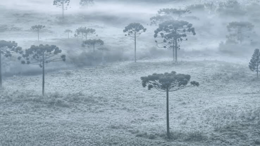 Dinâmica de inverno se instala com sucessivas massas de ar frio
