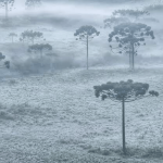 Dinâmica de inverno se instala com sucessivas massas de ar frio