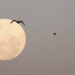 Superlua em imagens no Rio Grande do Sul