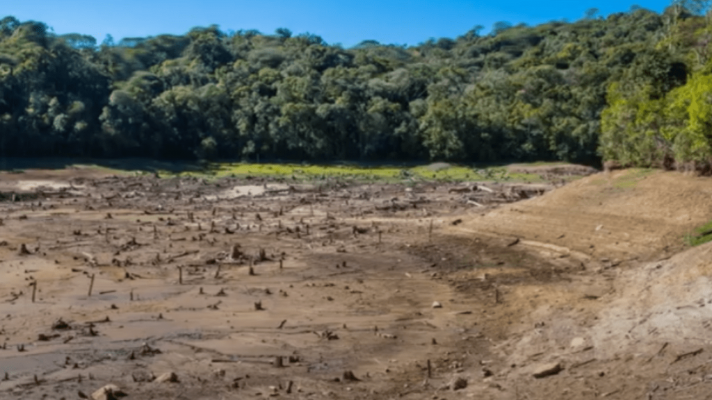 Chuva no Paraná – O que esperar?