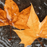 Mudança do tempo em duas etapas