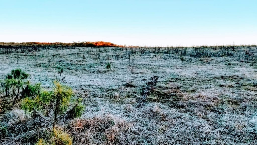 Frio abaixo de zero e geada nos Campos de Cima da Serra