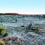 Frio abaixo de zero e geada nos Campos de Cima da Serra