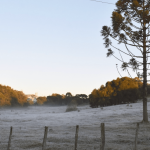 Frio começa a perder força e vem chuva
