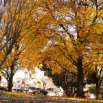 Veja a previsão do tempo para esta terça-feira (15/6)