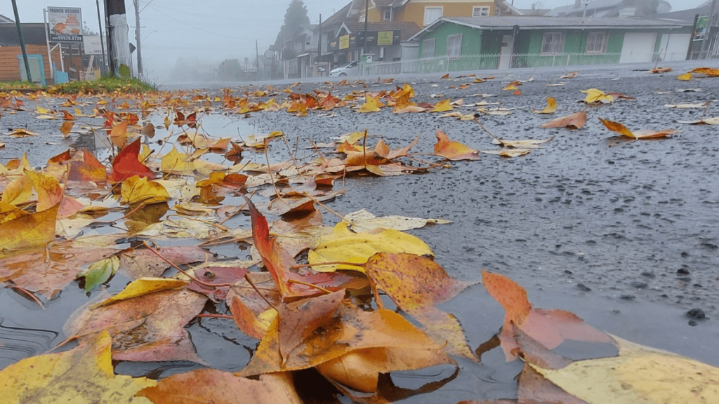Qual a chance de precipitação invernal nesta quinta-feira?