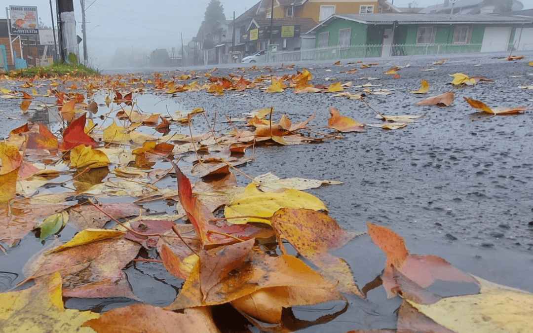 Qual a chance de precipitação invernal nesta quinta-feira? Instabilidade e muito frio em algumas regiões nesta quinta-feira no Sul do Brasil