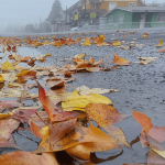 Qual a chance de precipitação invernal nesta quinta-feira?