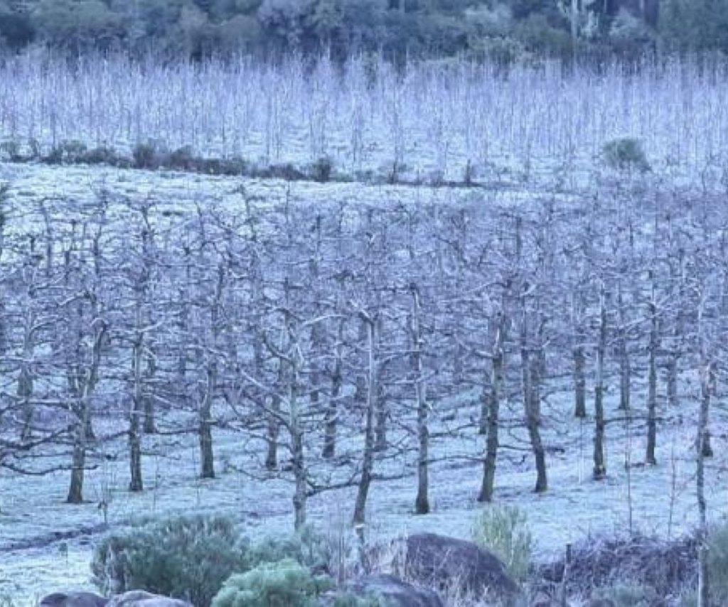 Inmet e centros alertam para uma das ondas de frio mais fortes neste século