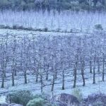 Inmet e centros alertam para uma das ondas de frio mais fortes neste século