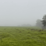 Veja a previsão do tempo para esta quinta-feira (1/7)