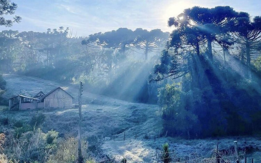 Quinta começa muito fria mesmo sem ar polar Massa de ar polar já se foi e é a atmosfera extremamente seca que traz um enorme resfriamento durante a noite