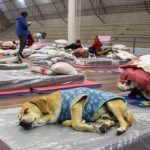 Governos e sociedade mobilizados para enfrentar a onda de frio