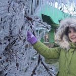 -7°C no RS; -10°C em SC; -7°C no PR; -4°C em SP, -9°C em MG; -8°C no RJ; e -3°C no MS