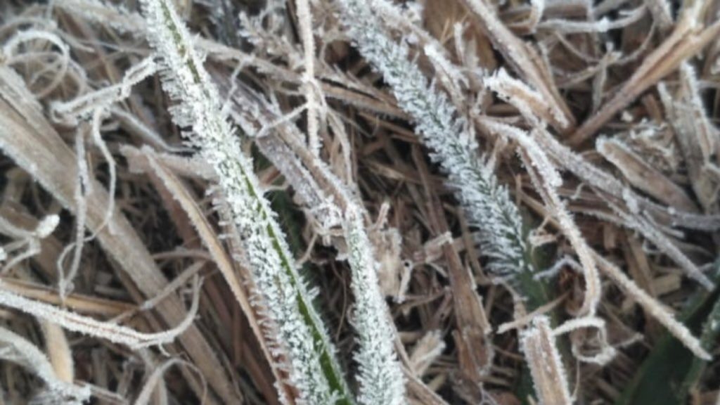 Alerta vermelho e muito frio em Minas e no interior paulista