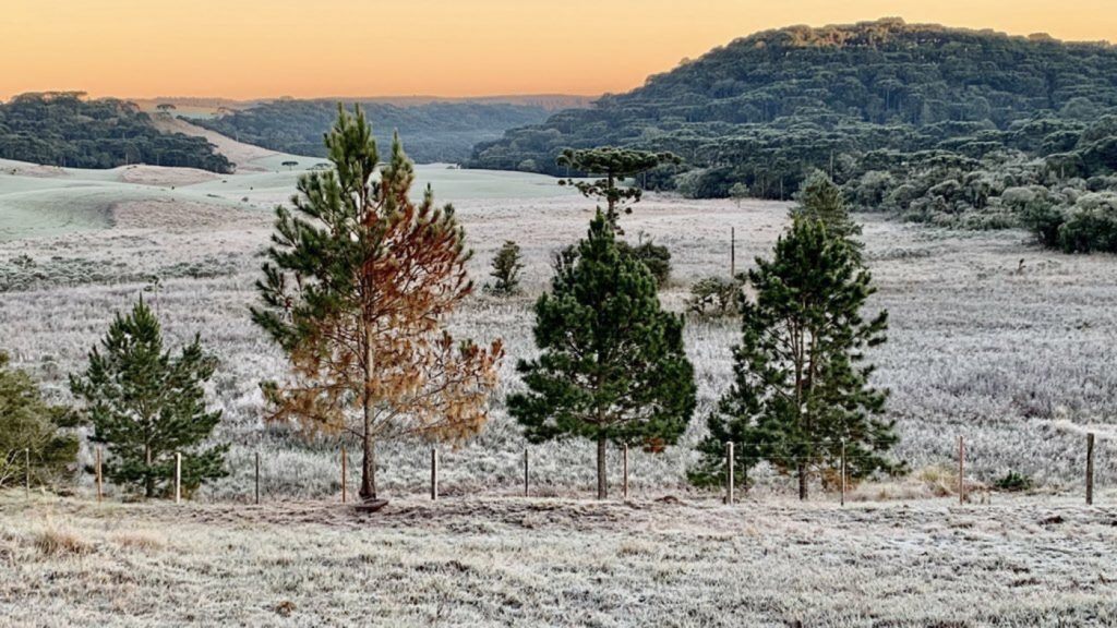 O dia a dia da intensa onda de frio – O que esperar