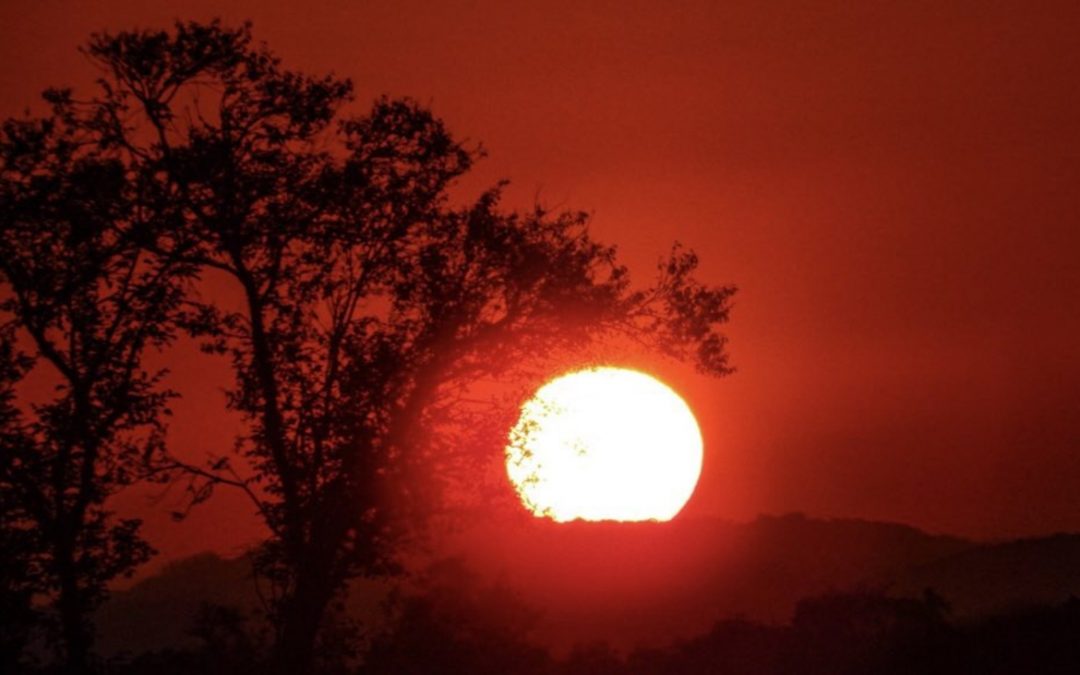 Semana congelante de até 8°C negativos termina com calor de 30°C Ar muito quente invade o Sul do Brasil agora no final da semana e vai trazer tardes muito quentes para julho principalmente no Rio Grande do Sul