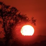 Semana congelante de até 8°C negativos termina com calor de 30°C