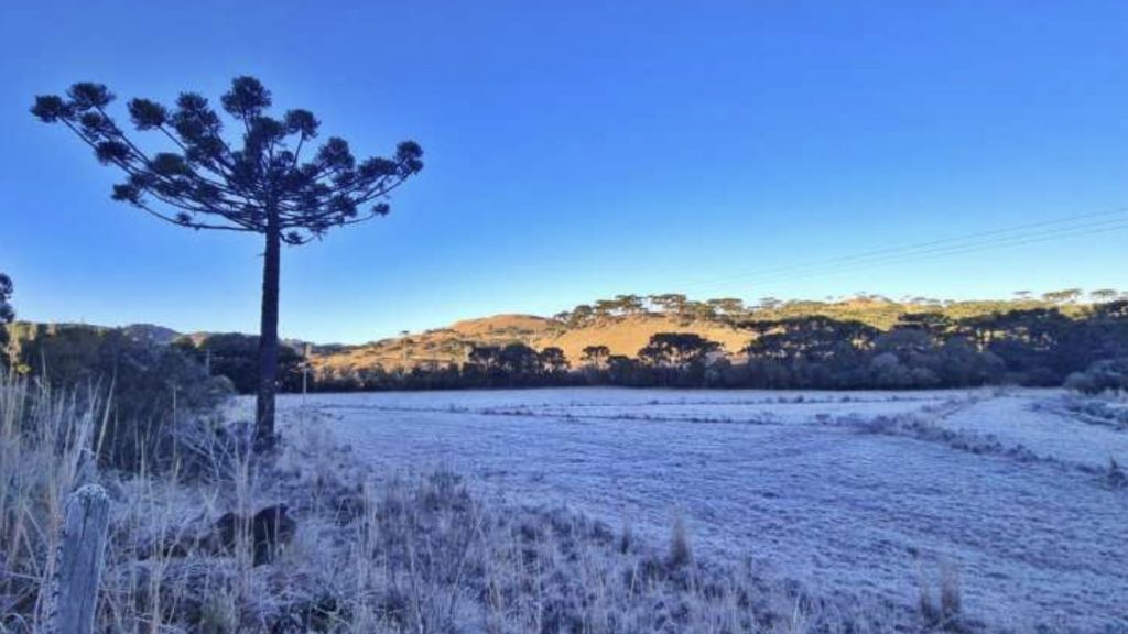Sábado começou com frio de até -10°C no Sul do Brasil