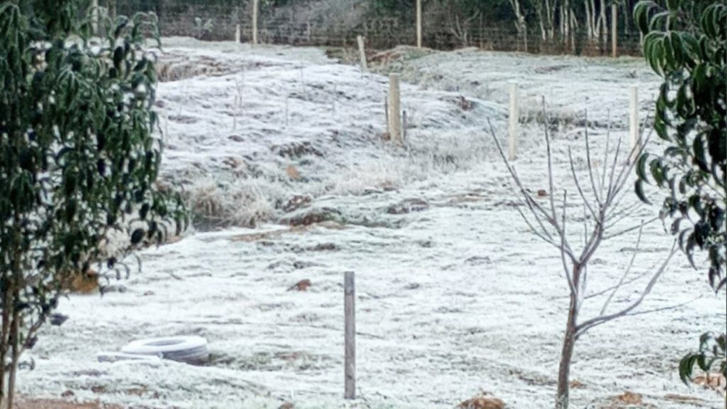 Frio congelante no Paraná