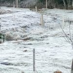 Frio congelante no Paraná