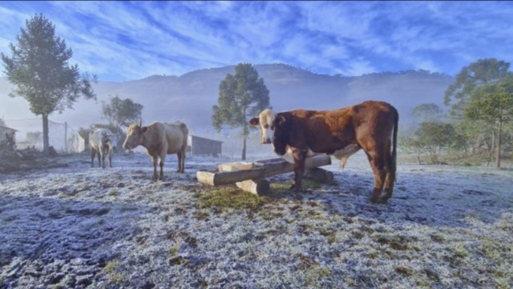 Gelo, geada e frio no Sul do Brasil