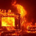 “Ninguém está seguro”