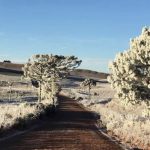 Meio Rio Grande do Sul abaixo de zero tem -6°C