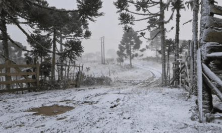 <span class="entry-title-primary">Neve não caía por três dias seguidos desde a grande onda de frio de 2000</span> <h2 class="entry-subtitle">Sul do Brasil teve neve por três dias seguidos nesta semana pela primeira vez em duas décadas </h2>