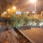 Vento com força de furacão atinge o Sul da Argentina