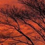 Veja a previsão do tempo para este sábado (3/7)