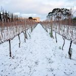 Por que nevou tanto e tão forte?