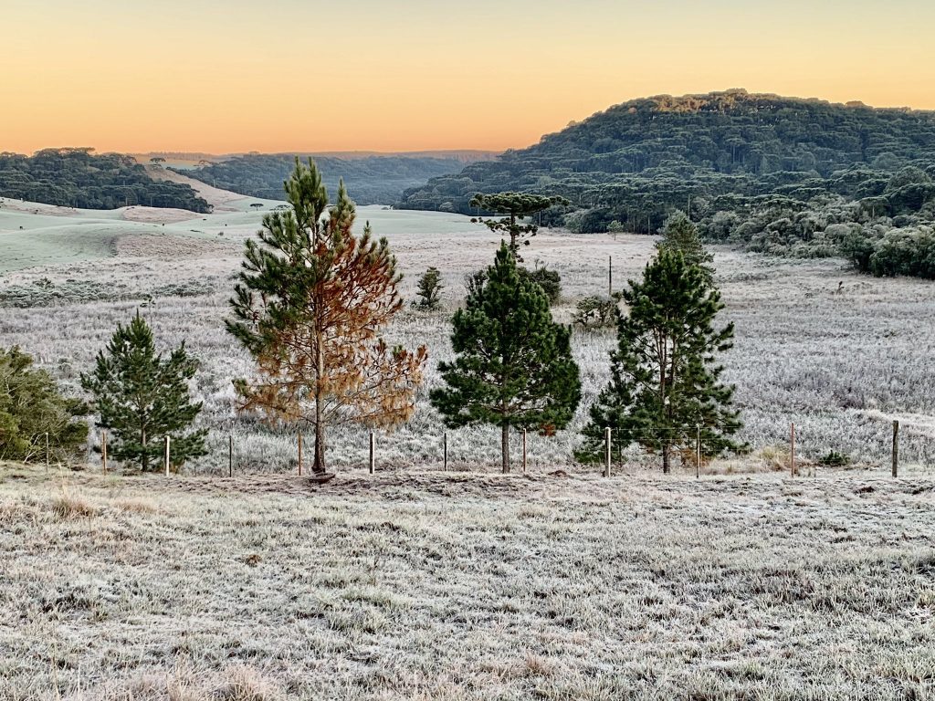 Frio extremo e enorme geada no começo desta sexta