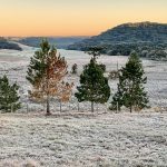 Frio extremo e enorme geada no começo desta sexta