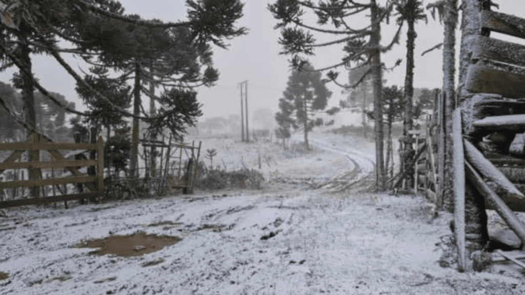 Frio mais intenso que na onda polar de junho