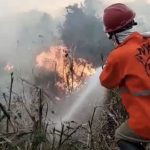 Pantanal volta a queimar