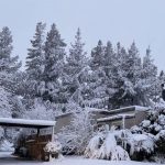 Nevasca atinge a África do Sul