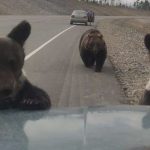 Cenas de colapso climático na Rússia alarmam cientistas do clima