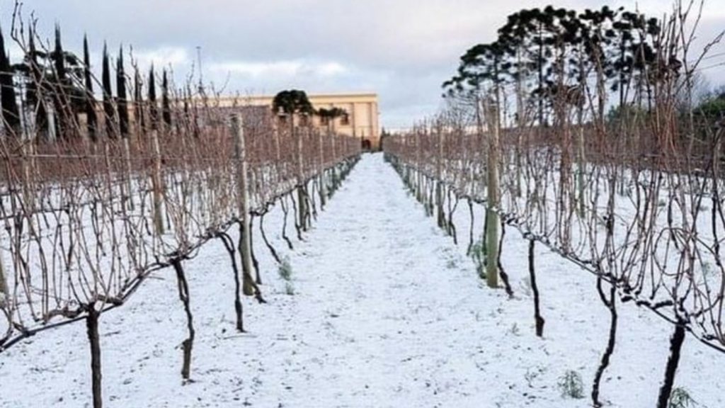 Inverno climático chega ao fim com prejuízos e belas imagens